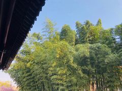 -何园