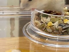 -龙猫仔乐园(惠福东路店)