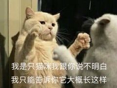-海鼎荟海鲜姿造(仟禧汇店)