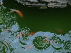 -湘子庙