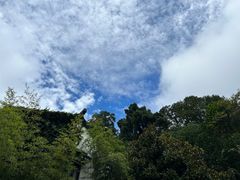 -海底捞火锅(铂澜大象城店)