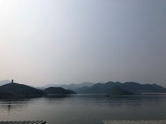 -望湖烤鱼