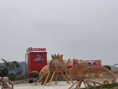 -空港花田景区