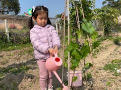 -海堤葡萄园中小学生研学基地