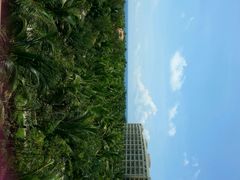 android_upload_pic-三亚海棠湾喜来登度假酒店