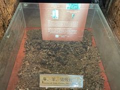 -南越王博物院(王宫展区)