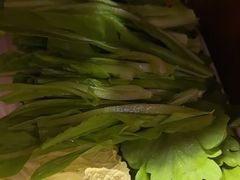 -芦月轩羊蝎子(劲松店)