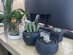 -自然之声助听器·呼吸机(康桥旗舰店)