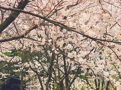-江南大学(蠡湖校区)
