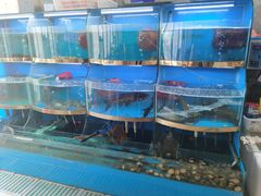 水产区-七仙女渔港(奥邦广场店)