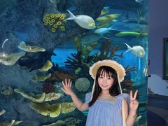 -福州罗源湾海洋世界旅游区