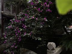 -周血旺老店