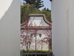 -乌山风景区