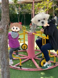 -萌宠亲子动物乐园(槐房万达店)