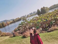 -浙江农林大学(东湖校区)