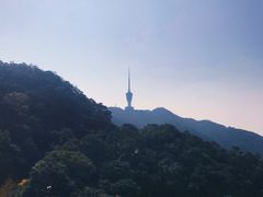 -梧桐山风景名胜区