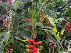 -北京植物园-展览温室