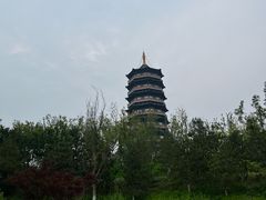 -白洋淀景区