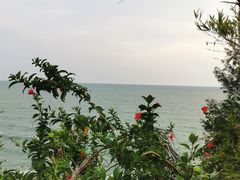 -冠头岭