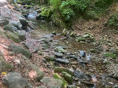 -本溪汤沟绿石谷森林公园