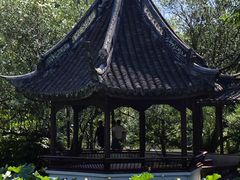 -上海醉白池公园