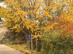 -阳台山自然风景区