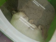 -乐宠宠物店(世纪金源店)