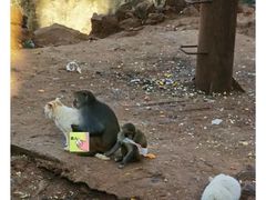 -昆明动物园