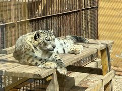 -青藏高原野生动物园