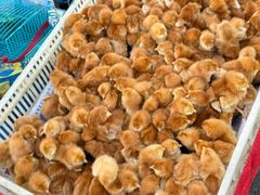 -登州市场(登州路店)