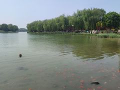 -河北省园博园