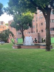 -锦江饭店·锦江小礼堂·宴会厅