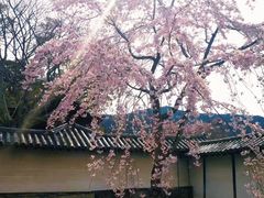 -醍醐寺