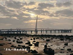 -深圳湾公园(南山区)