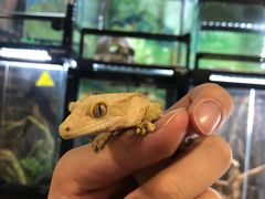 -藦茜花园宠物主题亲子互动体验馆(国顺东路店)