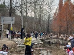 -白水寺森林公园