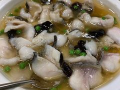 糟溜鱼片-顺风海鲜港(金玉兰店)