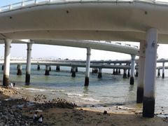 -演武大桥观景平台