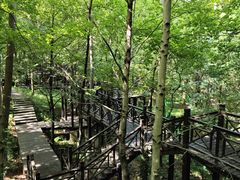 -宝岩生态观光园