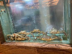 -海逸海鲜酒家(古北店)