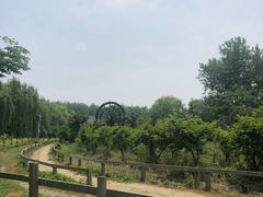 -溱湖国家湿地公园