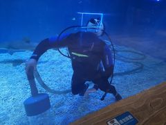 -华夏文旅海洋公园