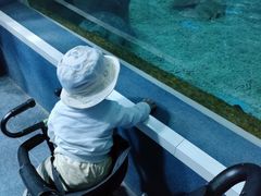 -北戴河圣蓝海洋公园