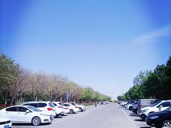 -西青郊野公园