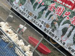 -西塘广惠公园