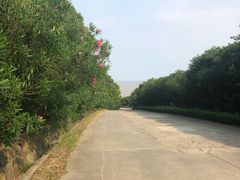 -平湖九龙山旅游度假区
