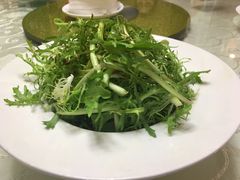 -丁老爷子苏香圆