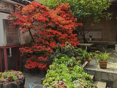 -寂照庵