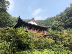 -十八棵（老龙井）御茶园(老龙井店)