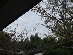 -杭州植物园